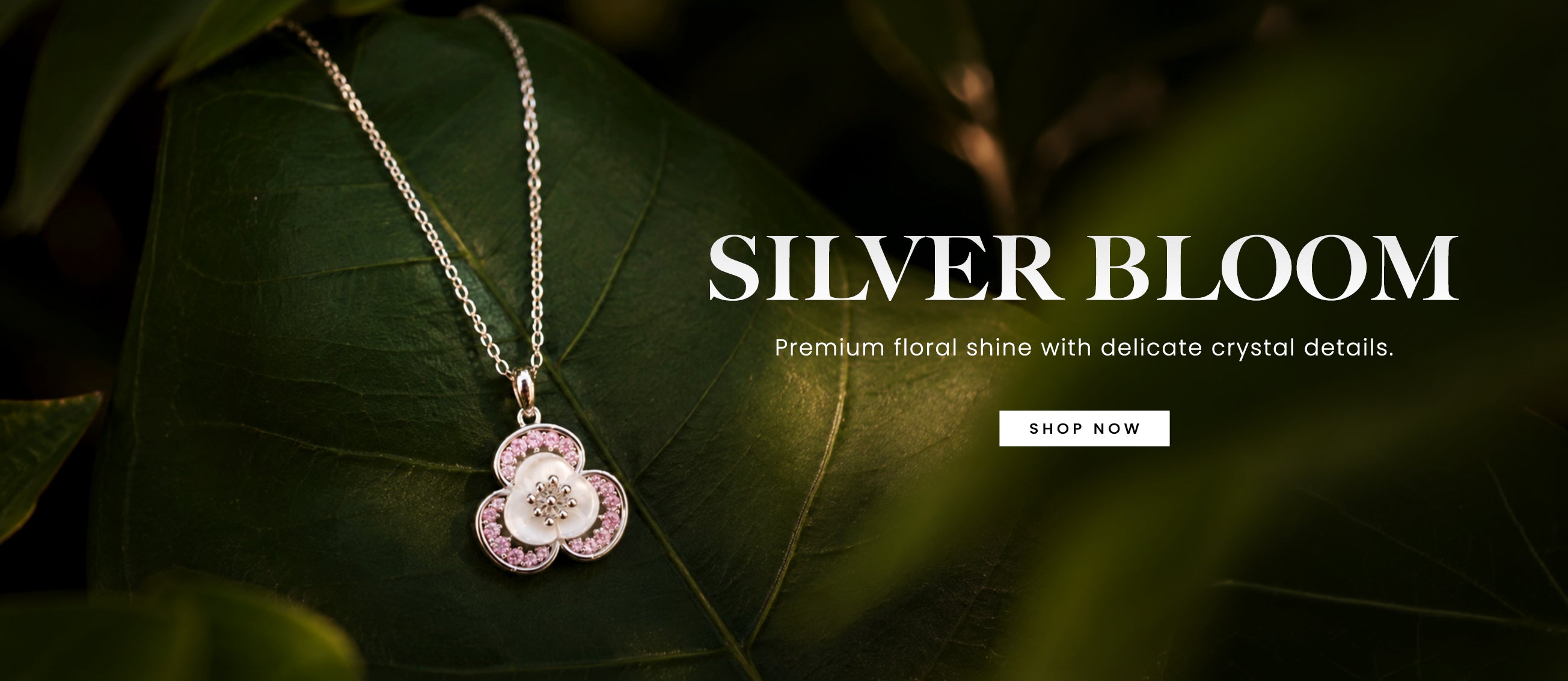 slider image slider_item_W3AyEU